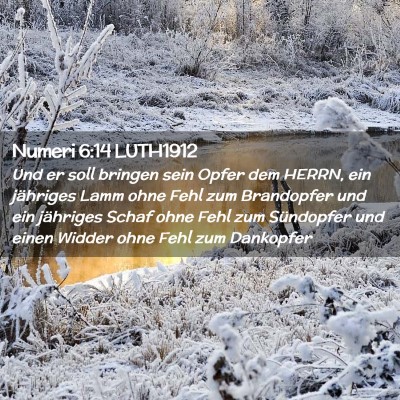 Picture 02 - Numeri 6:14 LUTH1912 - Und er soll bringen sein Opfer dem HERRN, ein - Bible Verse Picture