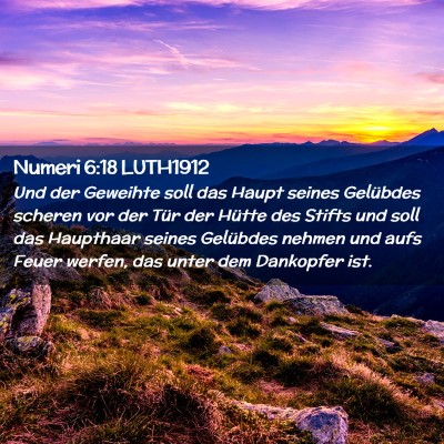 Picture 02 - Numeri 6:18 LUTH1912 - Und der Geweihte soll das Haupt seines Gelübdes - Bible Verse Picture