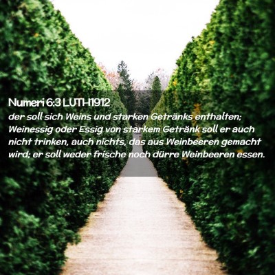 Picture 02 - Numeri 6:3 LUTH1912 - der soll sich Weins und starken Getränks - Bible Verse Picture