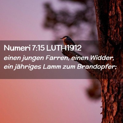 Picture 02 - Numeri 7:15 LUTH1912 - einen jungen Farren, einen Widder, ein jähriges - Bible Verse Picture