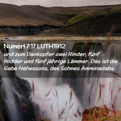 Picture 02 - Numeri 7:17 LUTH1912 - und zum Dankopfer zwei Rinder, fünf Widder und - Bible Verse Picture