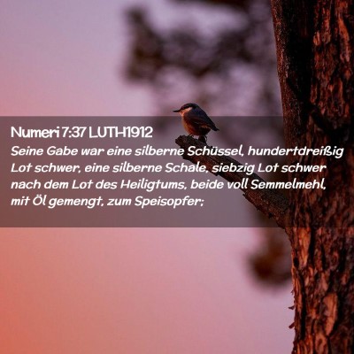 Picture 02 - Numeri 7:37 LUTH1912 - Seine Gabe war eine silberne Schüssel, - Bible Verse Picture