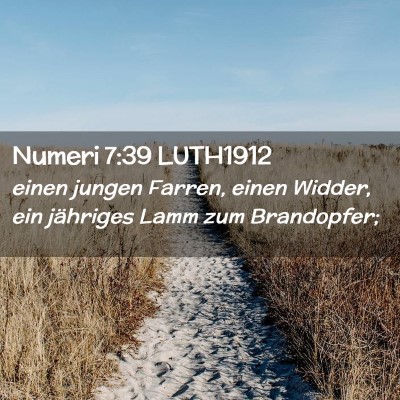 Picture 02 - Numeri 7:39 LUTH1912 - einen jungen Farren, einen Widder, ein jähriges - Bible Verse Picture