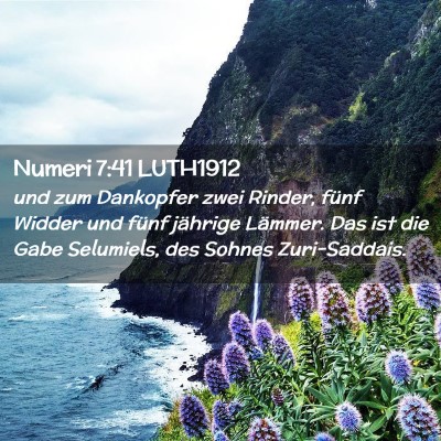 Picture 02 - Numeri 7:41 LUTH1912 - und zum Dankopfer zwei Rinder, fünf Widder und - Bible Verse Picture