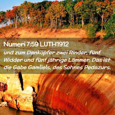 Picture 02 - Numeri 7:59 LUTH1912 - und zum Dankopfer zwei Rinder, fünf Widder und - Bible Verse Picture