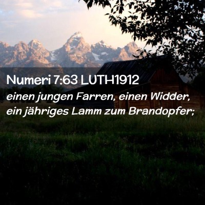 Picture 02 - Numeri 7:63 LUTH1912 - einen jungen Farren, einen Widder, ein jähriges - Bible Verse Picture