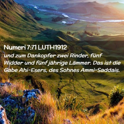 Picture 02 - Numeri 7:71 LUTH1912 - und zum Dankopfer zwei Rinder, fünf Widder und - Bible Verse Picture