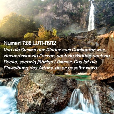 Picture 02 - Numeri 7:88 LUTH1912 - Und die Summe der Rinder zum Dankopfer war - Bible Verse Picture