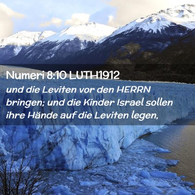 Picture 02 - Numeri 8:10 LUTH1912 - und die Leviten vor den HERRN bringen; und die - Bible Verse Picture