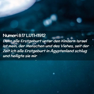 Picture 02 - Numeri 8:17 LUTH1912 - Denn alle Erstgeburt unter den Kindern Israel ist - Bible Verse Picture