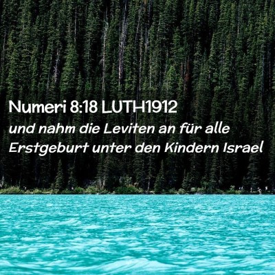 Picture 02 - Numeri 8:18 LUTH1912 - und nahm die Leviten an für alle Erstgeburt - Bible Verse Picture