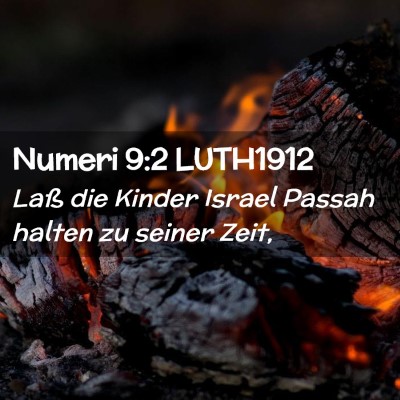 Picture 02 - Numeri 9:2 LUTH1912 - Laß die Kinder Israel Passah halten zu seiner - Bible Verse Picture