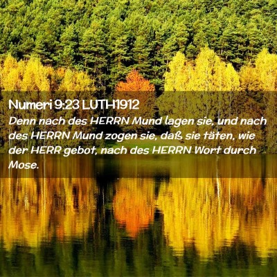 Picture 02 - Numeri 9:23 LUTH1912 - Denn nach des HERRN Mund lagen sie, und nach des - Bible Verse Picture