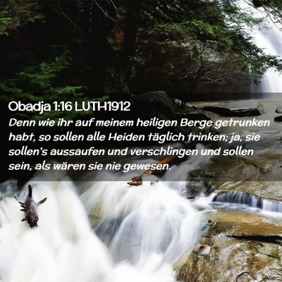 Picture 02 - Obadja 1:16 LUTH1912 - Denn wie ihr auf meinem heiligen Berge getrunken - Bible Verse Picture