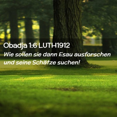 Picture 02 - Obadja 1:6 LUTH1912 - Wie sollen sie dann Esau ausforschen und seine - Bible Verse Picture