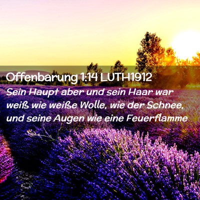 Picture 02 - Offenbarung 1:14 LUTH1912 - Sein Haupt aber und sein Haar war weiß wie - Bible Verse Picture