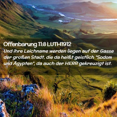 Picture 02 - Offenbarung 11:8 LUTH1912 - Und ihre Leichname werden liegen auf der Gasse - Bible Verse Picture