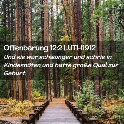 Picture 02 - Offenbarung 12:2 LUTH1912 - Und sie war schwanger und schrie in Kindesnöten - Bible Verse Picture