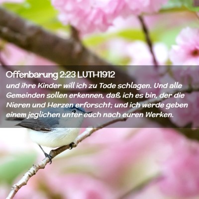 Picture 02 - Offenbarung 2:23 LUTH1912 - und ihre Kinder will ich zu Tode schlagen. Und - Bible Verse Picture