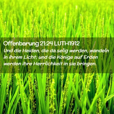 Picture 02 - Offenbarung 21:24 LUTH1912 - Und die Heiden, die da selig werden, wandeln in - Bible Verse Picture