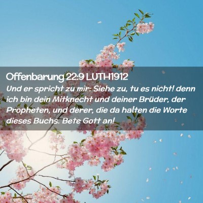 Picture 02 - Offenbarung 22:9 LUTH1912 - Und er spricht zu mir: Siehe zu, tu es nicht! - Bible Verse Picture
