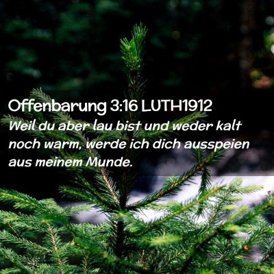 Picture 02 - Offenbarung 3:16 LUTH1912 - Weil du aber lau bist und weder kalt noch warm, - Bible Verse Picture