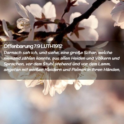 Picture 02 - Offenbarung 7:9 LUTH1912 - Darnach sah ich, und siehe, eine große Schar, - Bible Verse Picture
