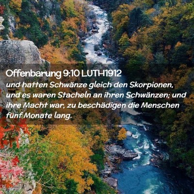 Picture 02 - Offenbarung 9:10 LUTH1912 - und hatten Schwänze gleich den Skorpionen, und - Bible Verse Picture