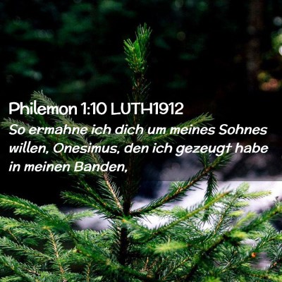 Picture 02 - Philemon 1:10 LUTH1912 - So ermahne ich dich um meines Sohnes willen, - Bible Verse Picture