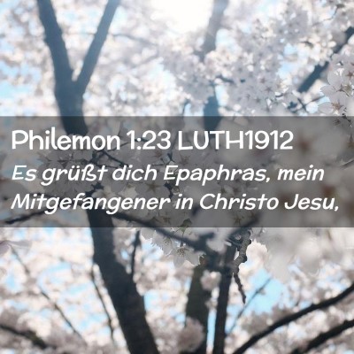 Picture 02 - Philemon 1:23 LUTH1912 - Es grüßt dich Epaphras, mein Mitgefangener in - Bible Verse Picture