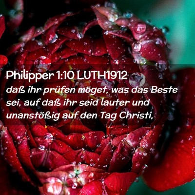 Picture 02 - Philipper 1:10 LUTH1912 - daß ihr prüfen möget, was das Beste sei, auf - Bible Verse Picture