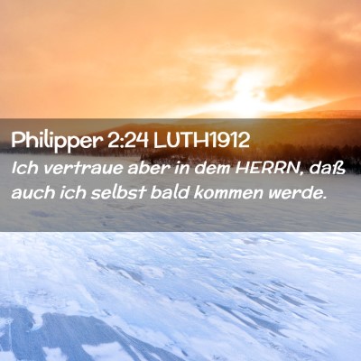 Picture 02 - Philipper 2:24 LUTH1912 - Ich vertraue aber in dem HERRN, daß auch ich - Bible Verse Picture