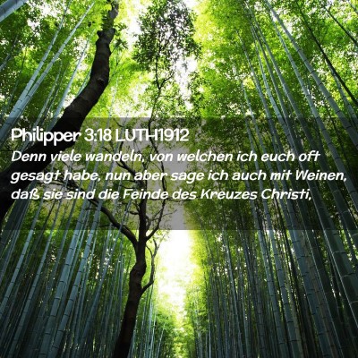 Picture 02 - Philipper 3:18 LUTH1912 - Denn viele wandeln, von welchen ich euch oft - Bible Verse Picture