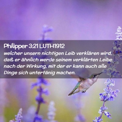 Picture 02 - Philipper 3:21 LUTH1912 - welcher unsern nichtigen Leib verklären wird, - Bible Verse Picture