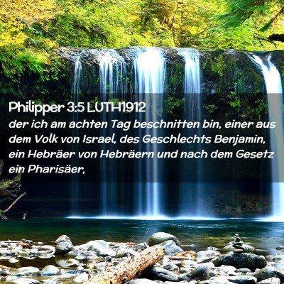 Picture 02 - Philipper 3:5 LUTH1912 - der ich am achten Tag beschnitten bin, einer aus - Bible Verse Picture