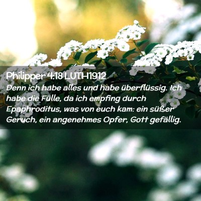 Picture 02 - Philipper 4:18 LUTH1912 - Denn ich habe alles und habe überflüssig. Ich - Bible Verse Picture