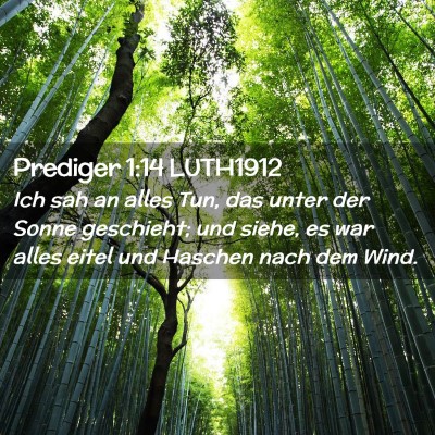 Picture 02 - Prediger 1:14 LUTH1912 - Ich sah an alles Tun, das unter der Sonne - Bible Verse Picture