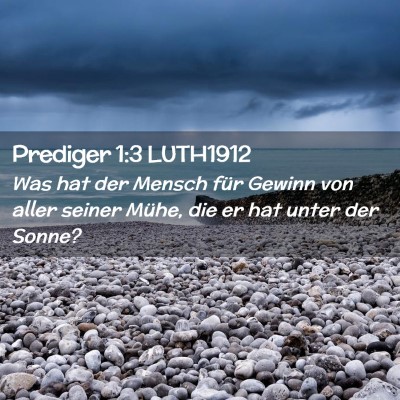 Picture 02 - Prediger 1:3 LUTH1912 - Was hat der Mensch für Gewinn von aller seiner - Bible Verse Picture