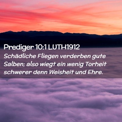 Picture 02 - Prediger 10:1 LUTH1912 - Schädliche Fliegen verderben gute Salben; also - Bible Verse Picture