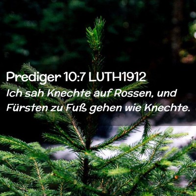 Picture 02 - Prediger 10:7 LUTH1912 - Ich sah Knechte auf Rossen, und Fürsten zu Fuß - Bible Verse Picture
