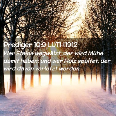 Picture 02 - Prediger 10:9 LUTH1912 - Wer Steine wegwälzt, der wird Mühe damit haben; - Bible Verse Picture