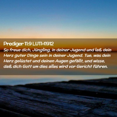 Picture 02 - Prediger 11:9 LUTH1912 - So freue dich, Jüngling, in deiner Jugend und - Bible Verse Picture