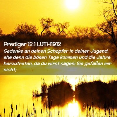 Picture 02 - Prediger 12:1 LUTH1912 - Gedenke an deinen Schöpfer in deiner Jugend, ehe - Bible Verse Picture