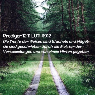 Picture 02 - Prediger 12:11 LUTH1912 - Die Worte der Weisen sind Stacheln und Nägel; - Bible Verse Picture