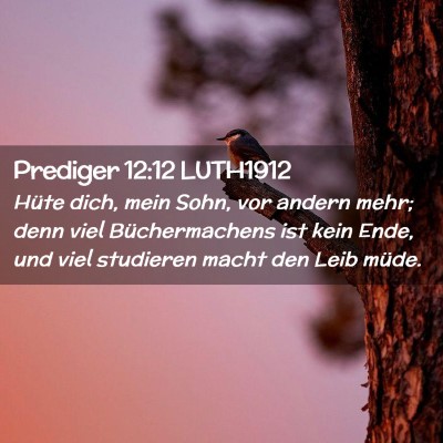 Picture 02 - Prediger 12:12 LUTH1912 - Hüte dich, mein Sohn, vor andern mehr; denn viel - Bible Verse Picture