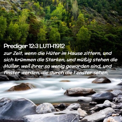 Picture 02 - Prediger 12:3 LUTH1912 - zur Zeit, wenn die Hüter im Hause zittern, und - Bible Verse Picture