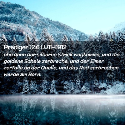 Picture 02 - Prediger 12:6 LUTH1912 - ehe denn der silberne Strick wegkomme, und die - Bible Verse Picture