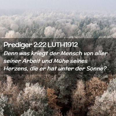 Picture 02 - Prediger 2:22 LUTH1912 - Denn was kriegt der Mensch von aller seiner - Bible Verse Picture