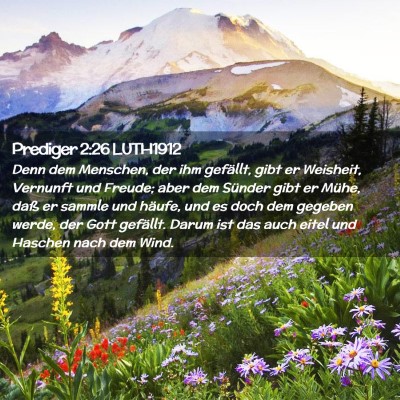 Picture 02 - Prediger 2:26 LUTH1912 - Denn dem Menschen, der ihm gefällt, gibt er - Bible Verse Picture