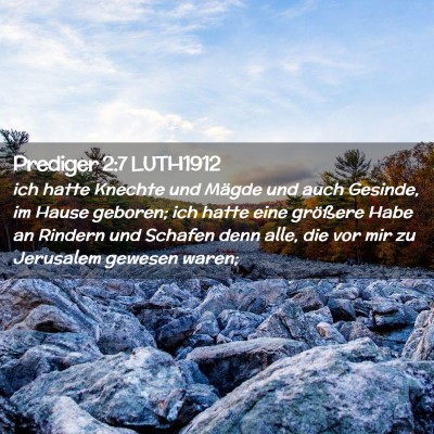 Picture 02 - Prediger 2:7 LUTH1912 - ich hatte Knechte und Mägde und auch Gesinde, im - Bible Verse Picture